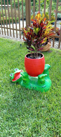 Garden Frog Planter