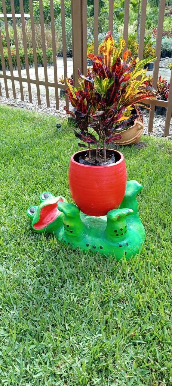 Garden Frog Planter
