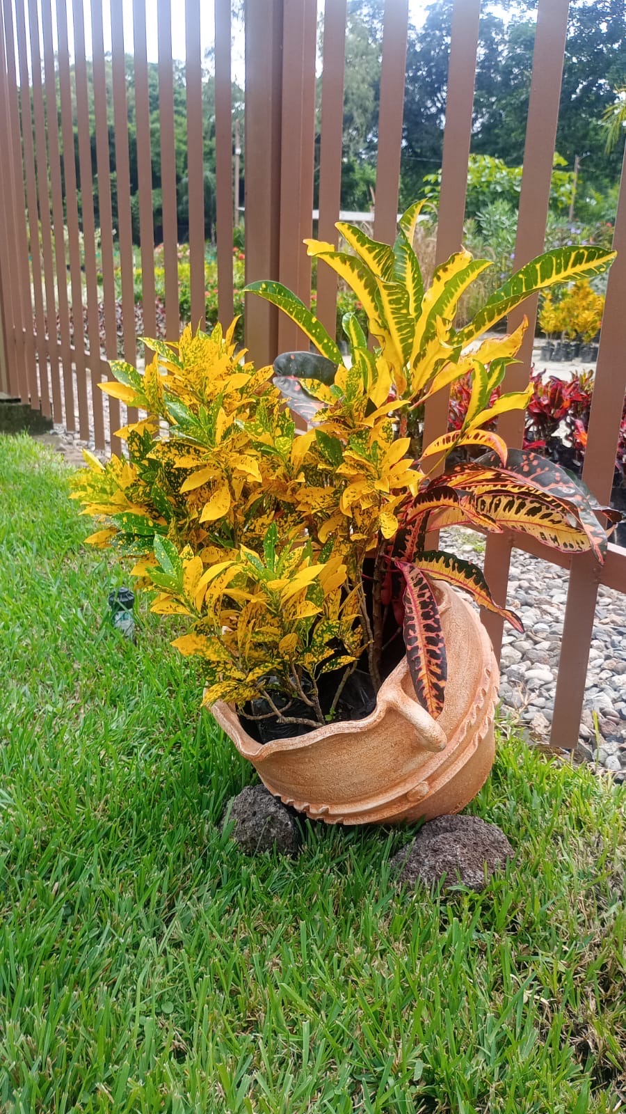 Colonial Garden Bowl