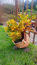 Colonial Garden Bowl