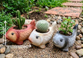 Oasis Fish Planter