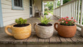 Cotto Garden Bowl