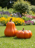Harvest Pumpkin Collection