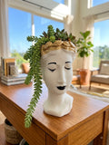 Serenity Face Planters